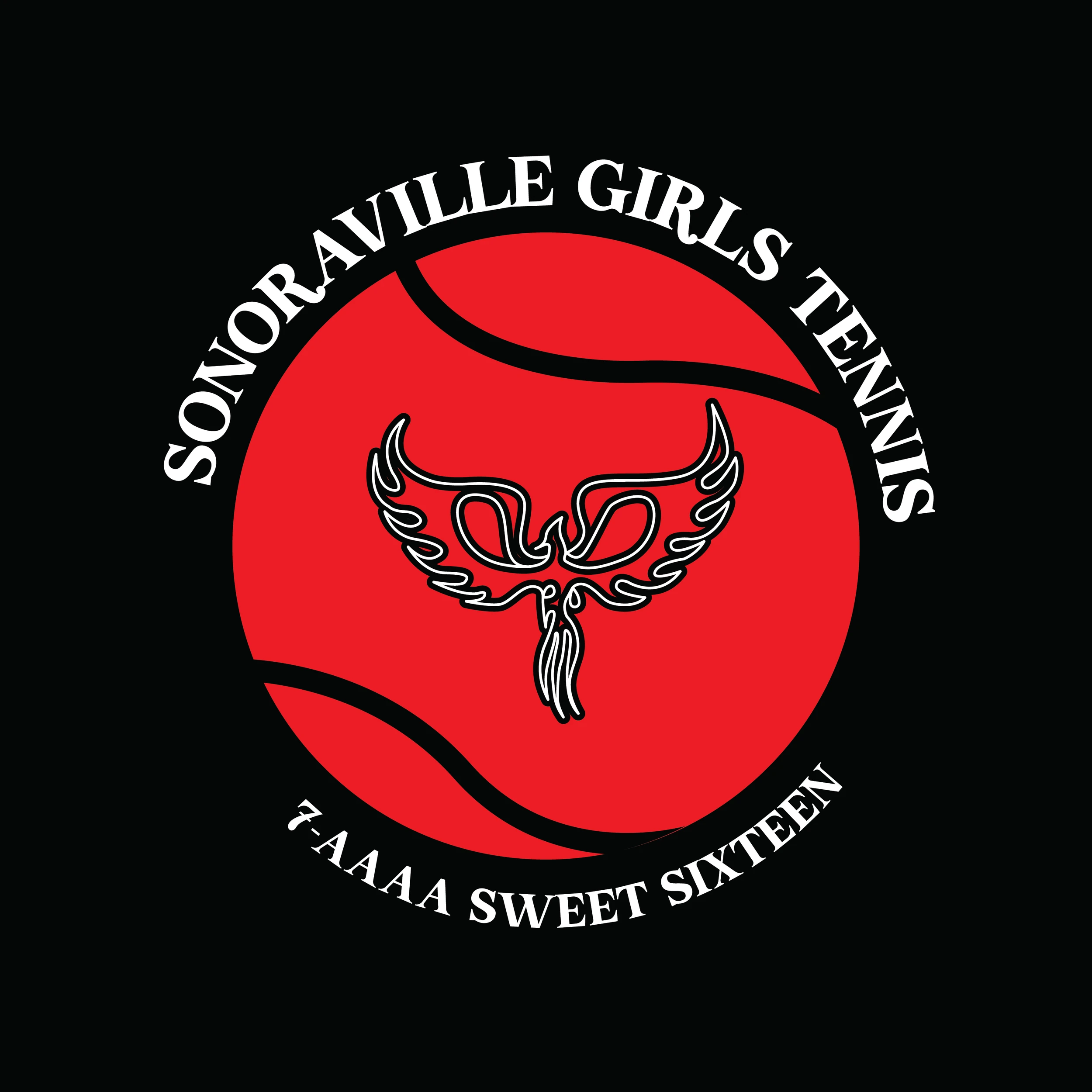 Illustrator work by Sara Elise