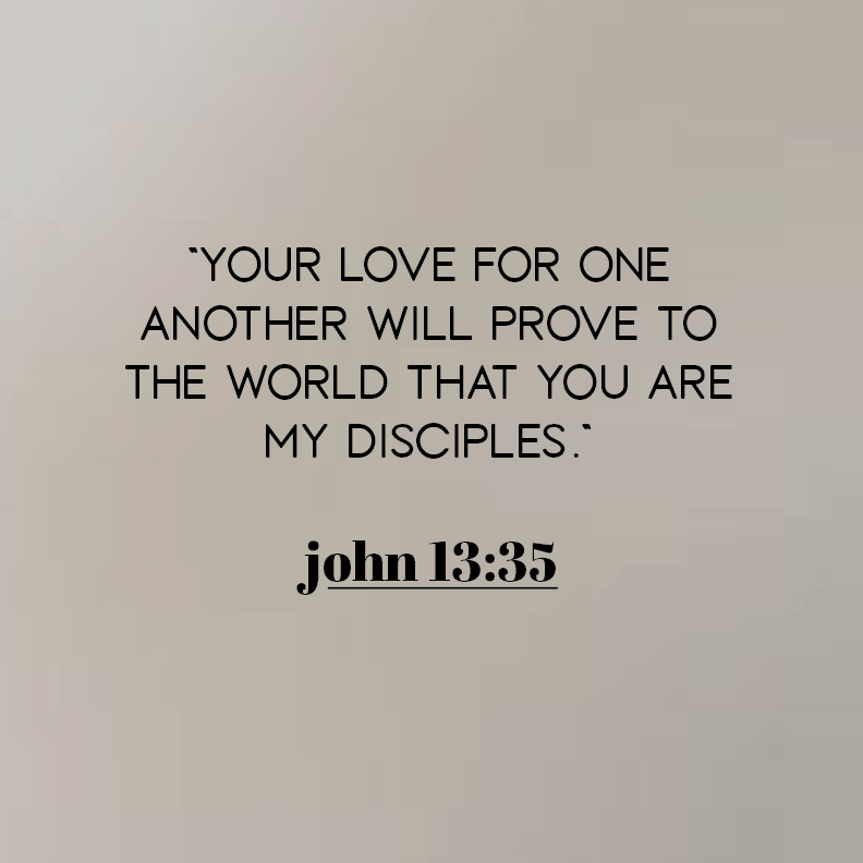 Illustrator work by Sara Elise