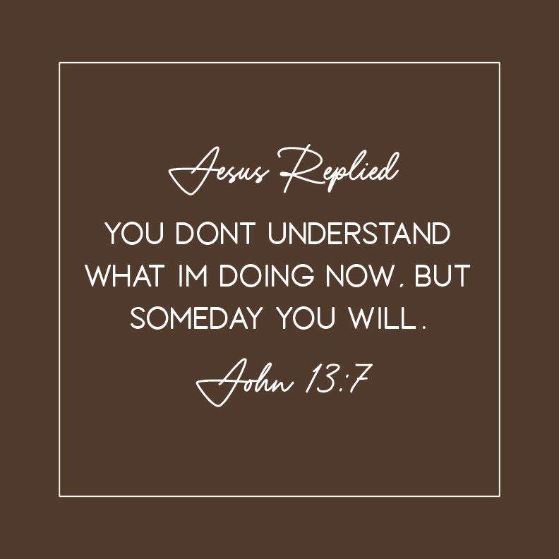 Illustrator work by Sara Elise