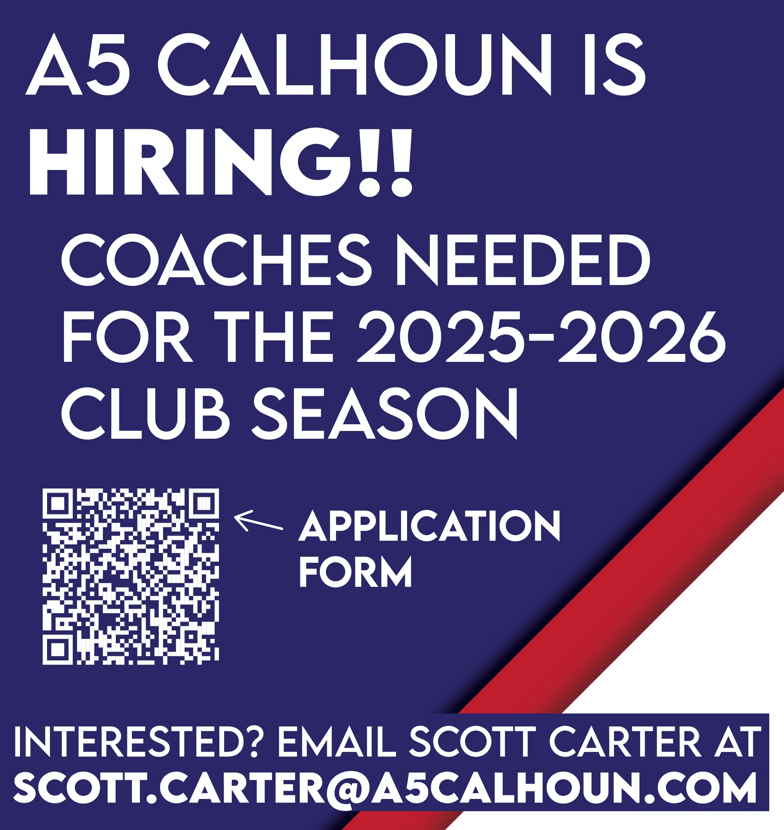 Illustrator work by Sara Elise