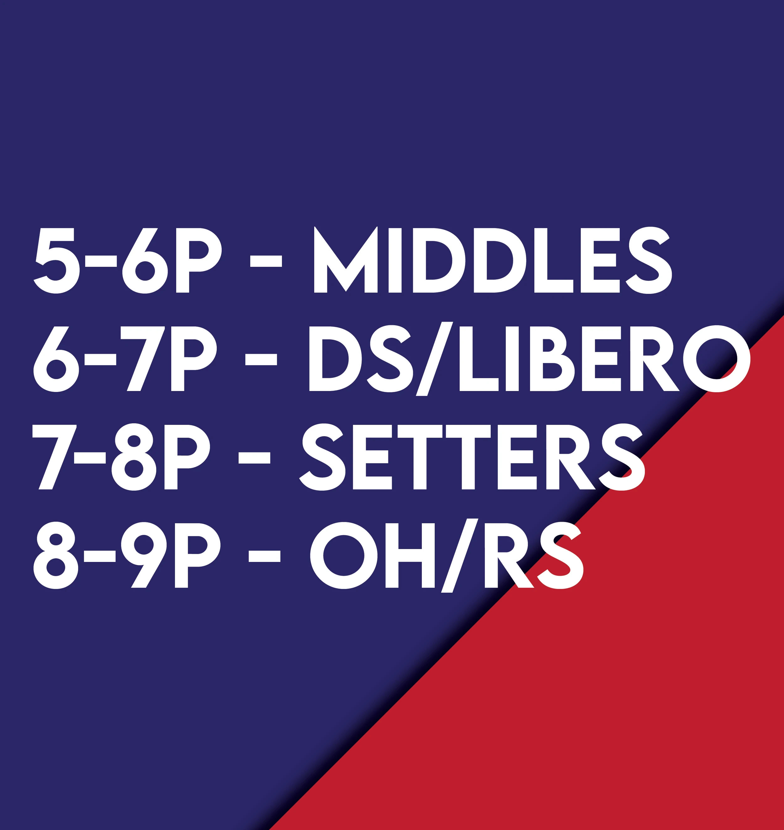 Illustrator work by Sara Elise