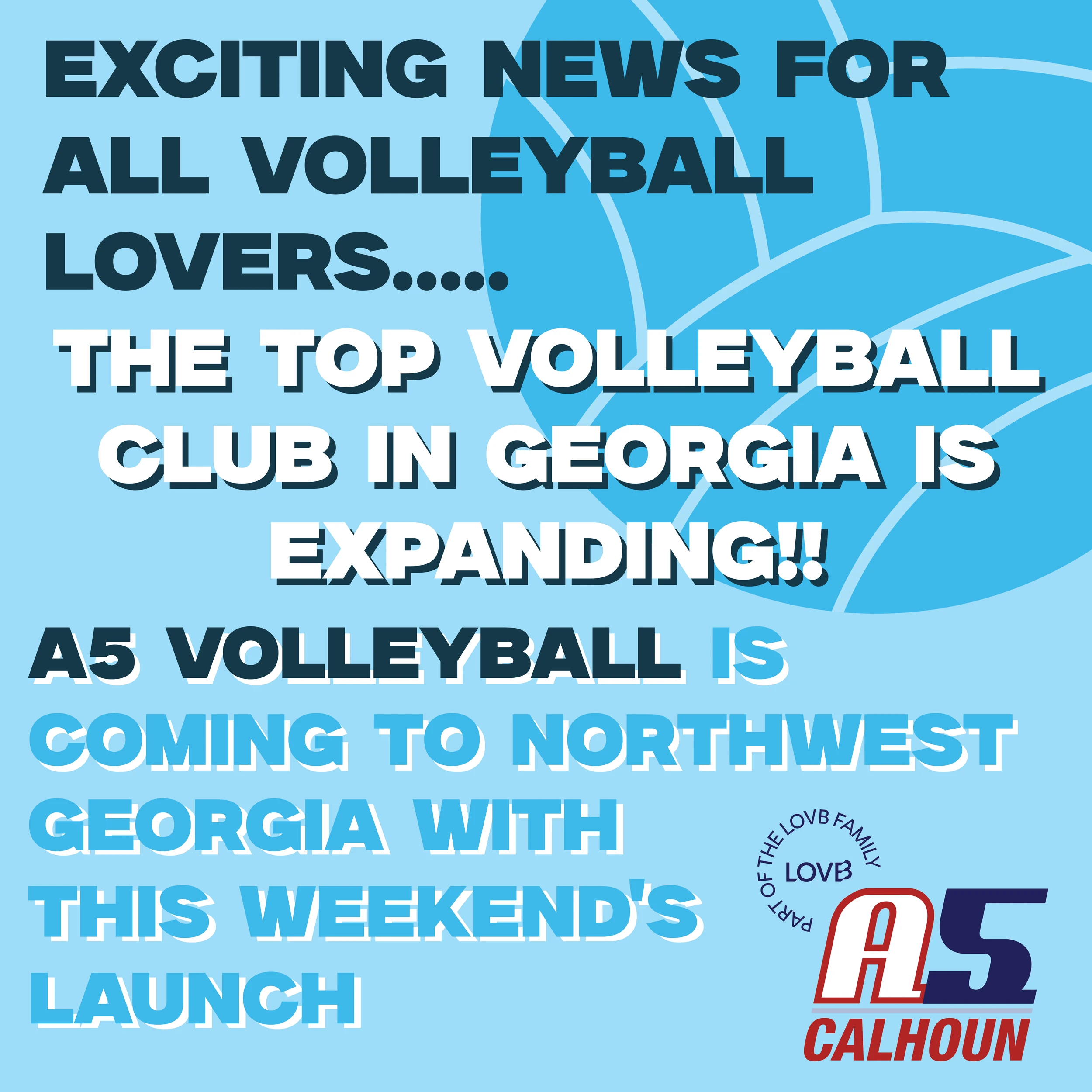 Illustrator work by Sara Elise