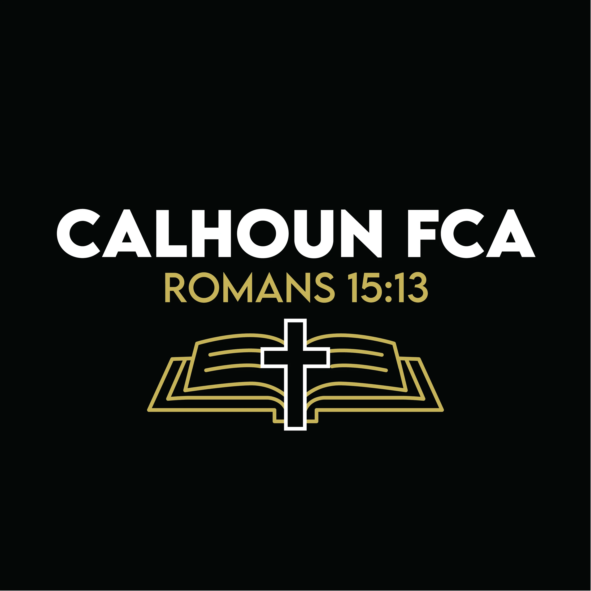 Illustrator work by Sara Elise