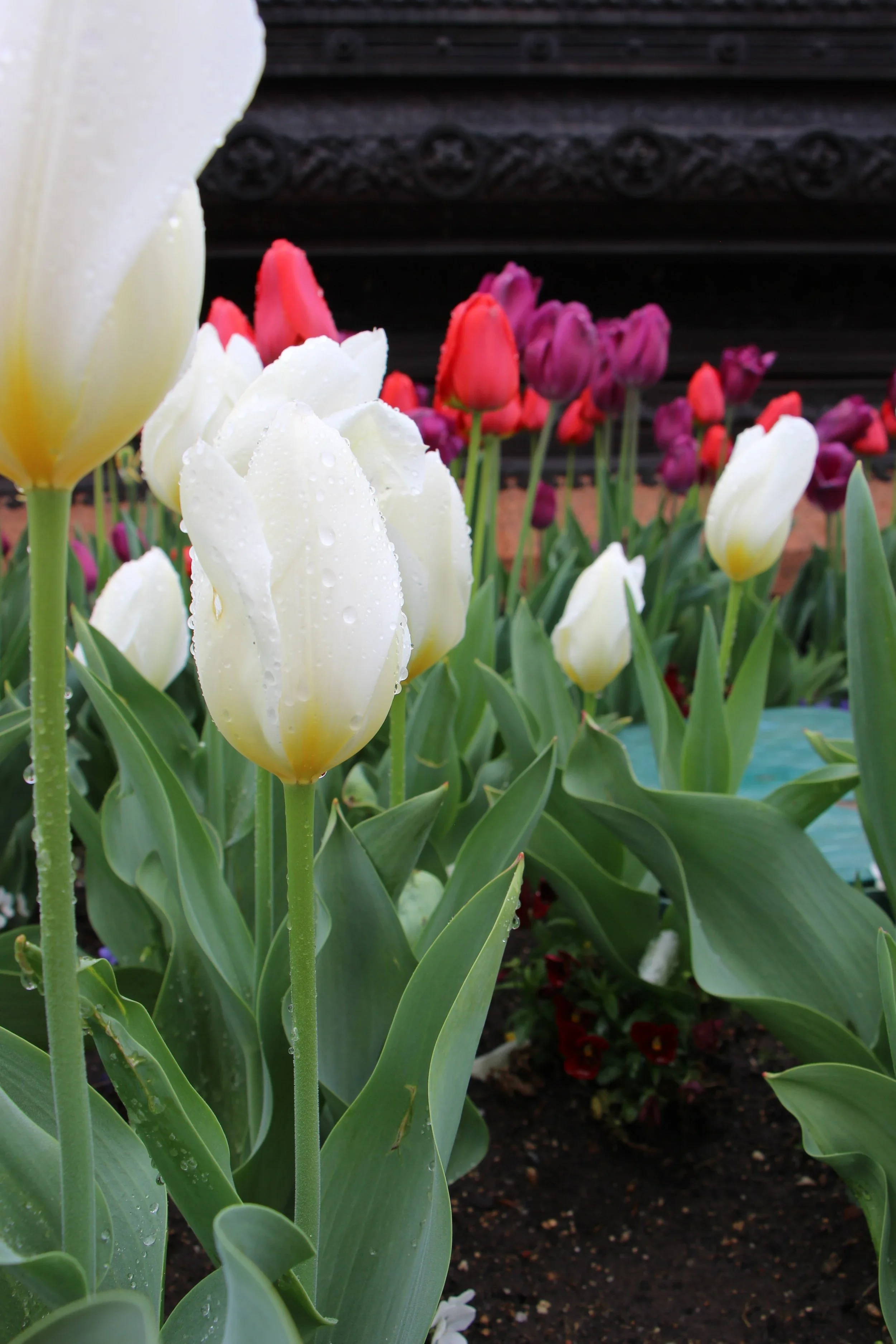 Photography work by Sara Elise