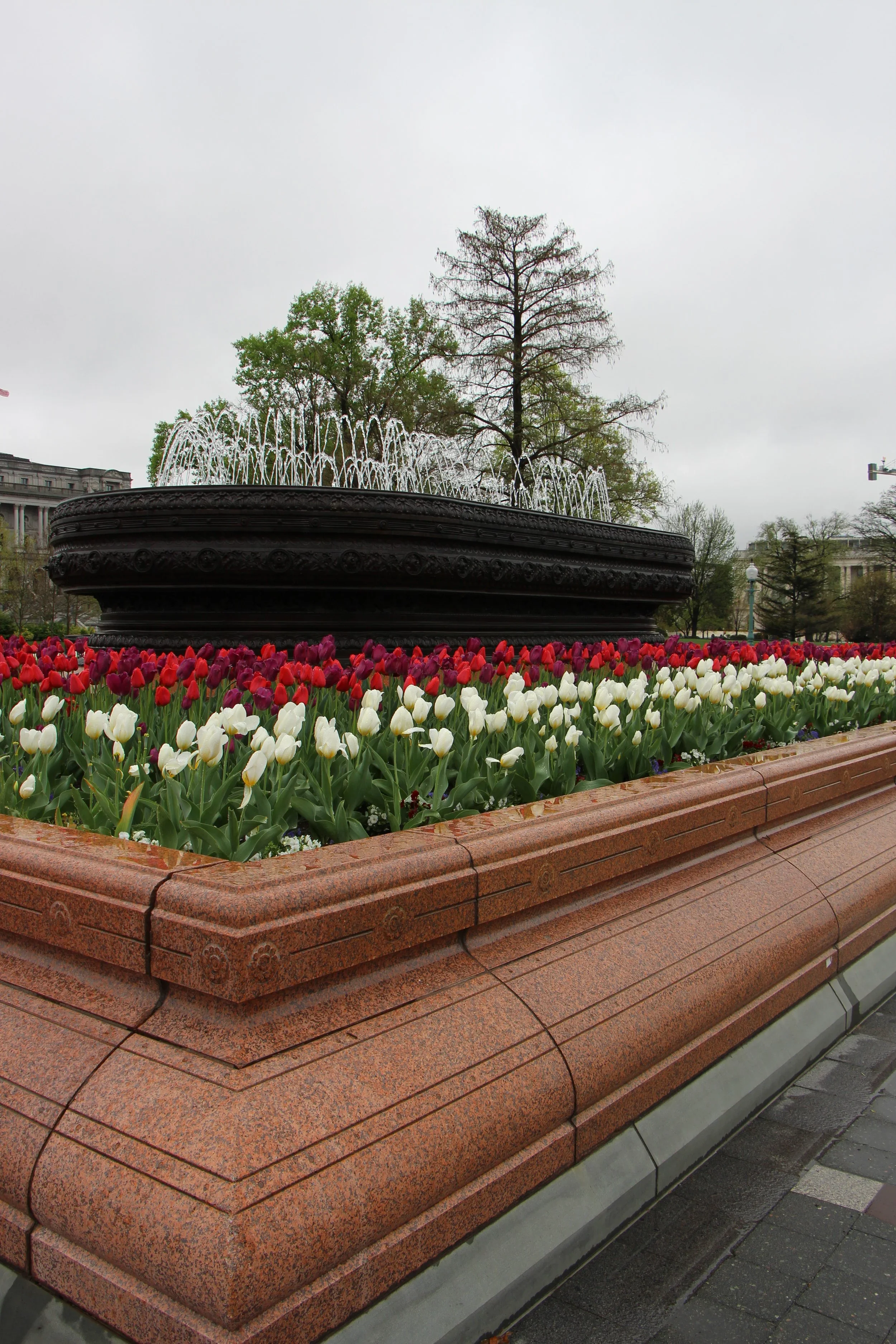 Photography work by Sara Elise