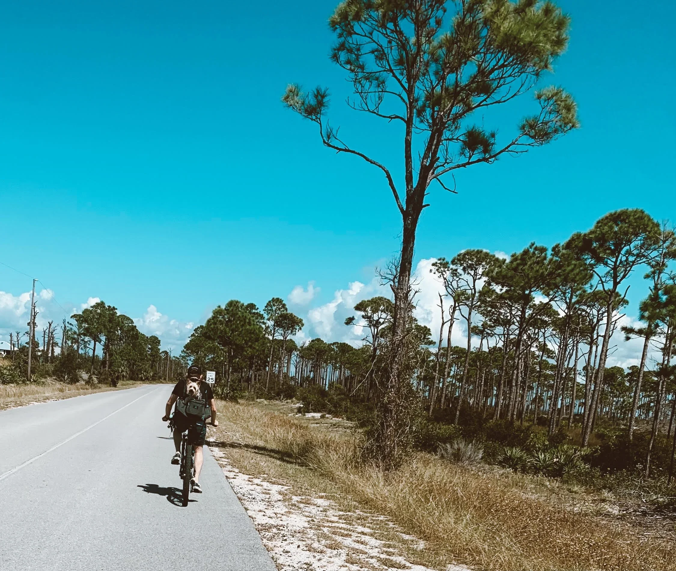 Photography work by Sara Elise