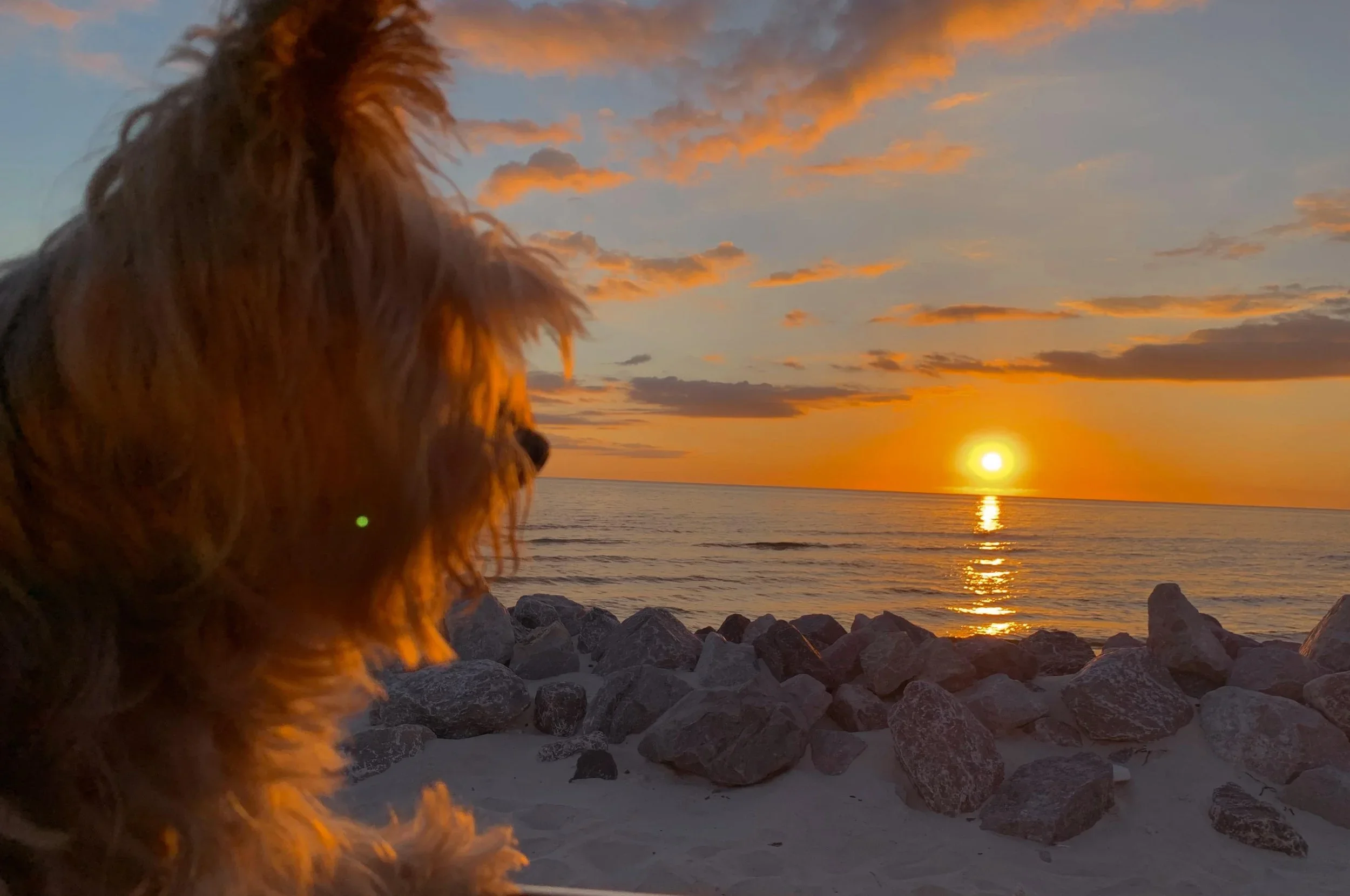 Photography work by Sara Elise